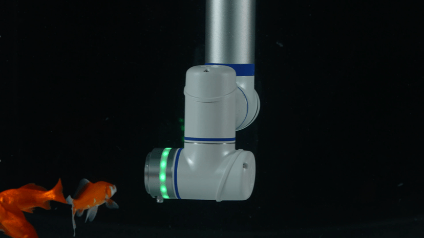 微信图片_2026-02-25_100612_585 微信图片_2026-02-25_100612_585