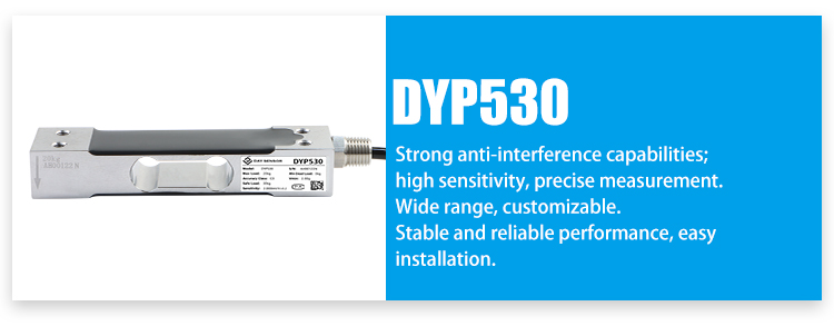 DYP530_01.jpg