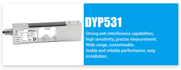 DYP531_01.jpg