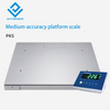 PKS Industrial Platform Scale with Horizontal Limit Frame