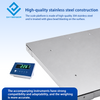 PKS Industrial Platform Scale with Horizontal Limit Frame
